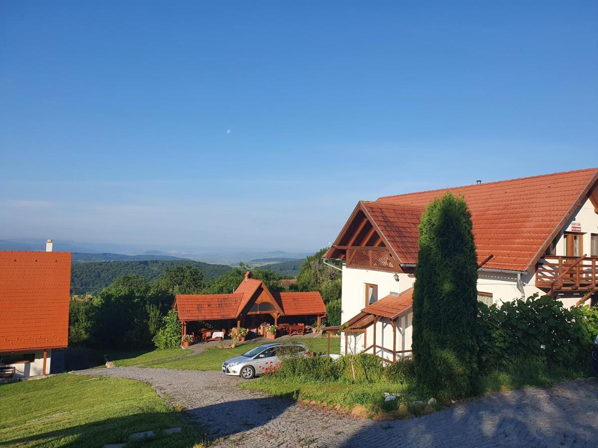Pensiunea Szilas Panzio Păuleni Dış mekan fotoğraf